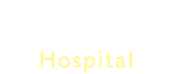 ネスについて