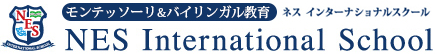 ネスインターナショナル採用サイト